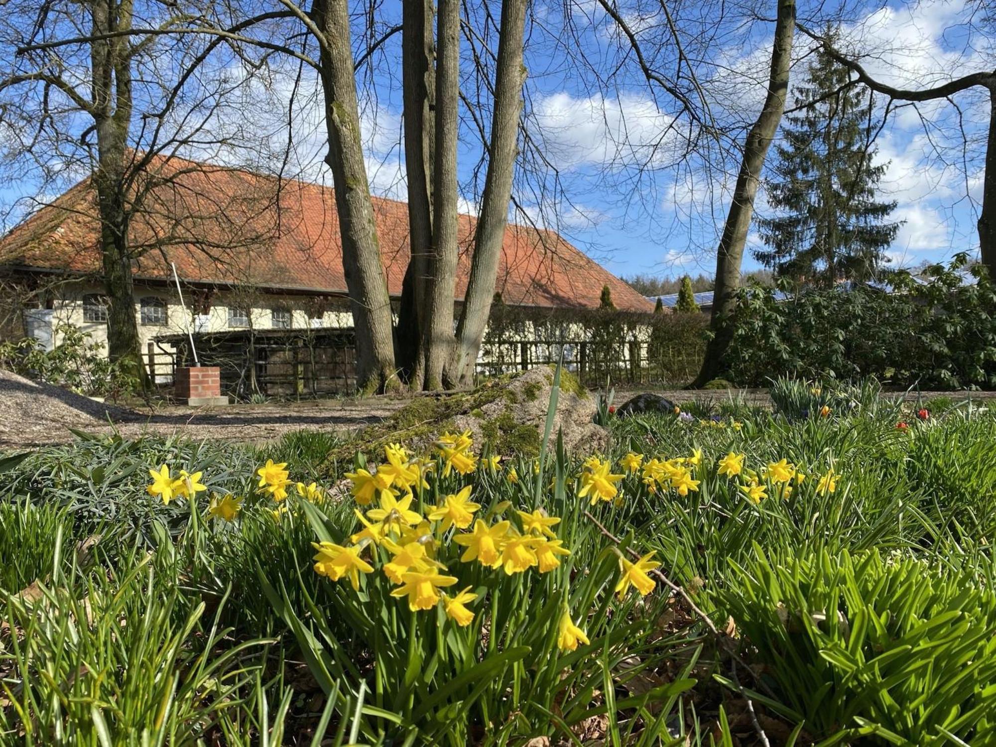 Cozy Holiday Home On A Horse Farm In The L Neburg Heath Eschede Exterior foto