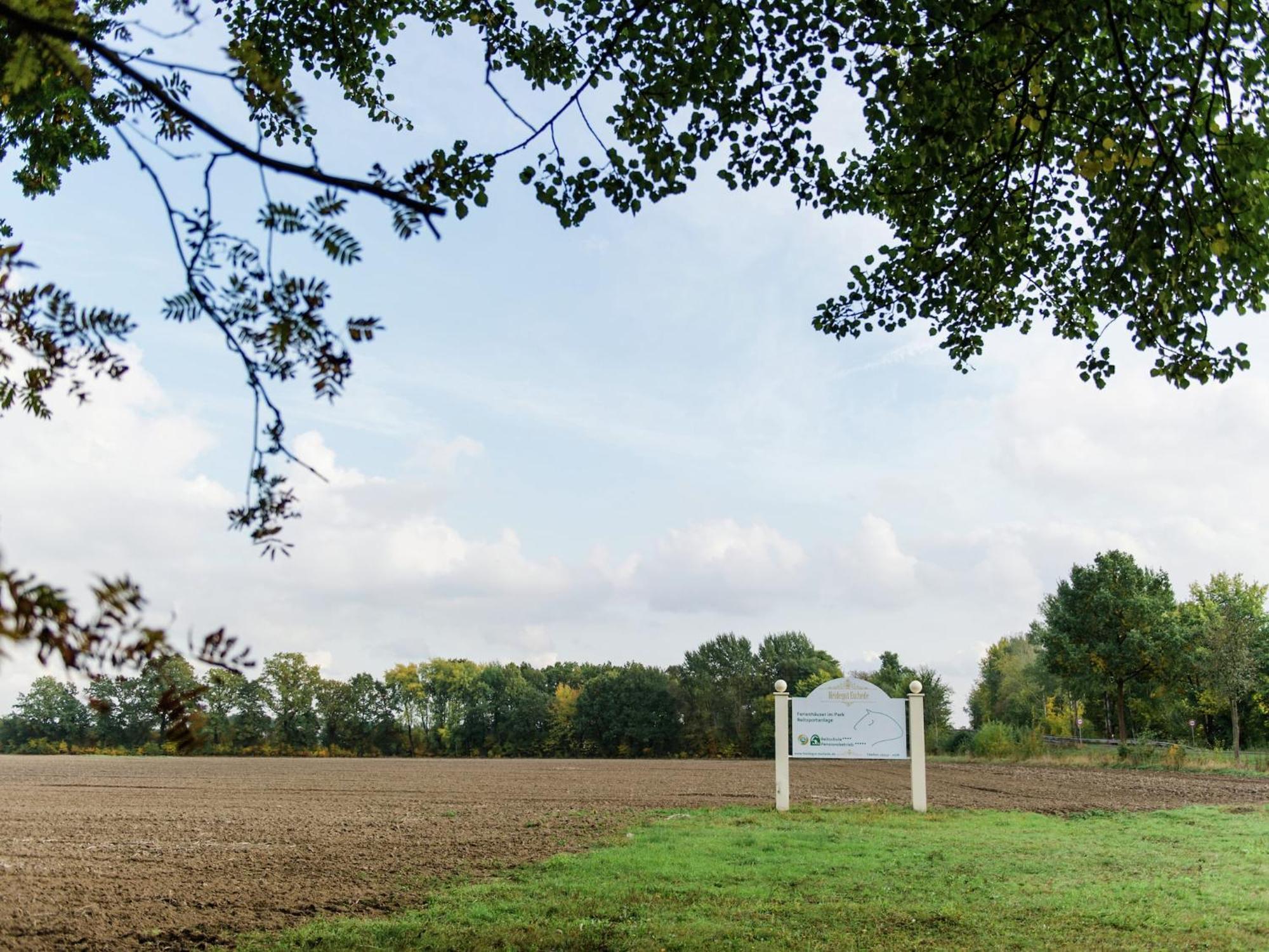 Cozy Holiday Home On A Horse Farm In The L Neburg Heath Eschede Exterior foto